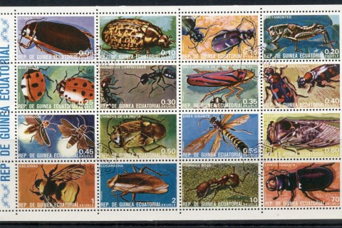 Equatorial-Guinea-1974-Insects-MS-MUH