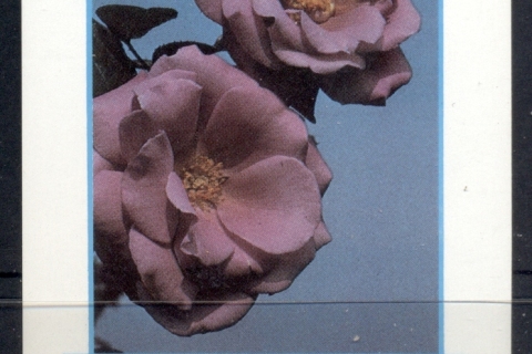 Equatorial-Guinea-1976-Flowers-MS-MUH_1