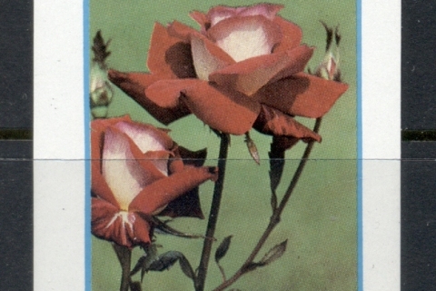 Equatorial-Guinea-1976-Flowers-MS-MUH_2