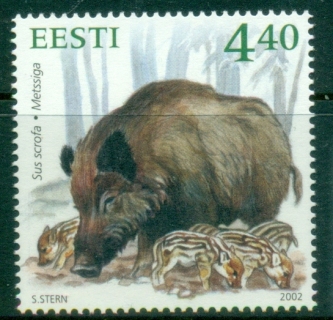 Estonia-2002-Estonian-Wildlife-Wild-Boar-MUH