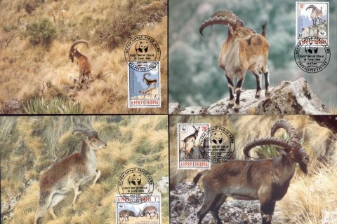 Ethiopia-1990 WWF Walia Ibex Maxicards