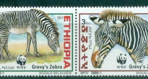 Ethiopia-2001 WWF Grevy's Zebra
