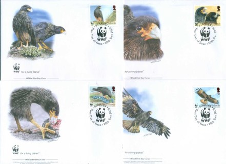 Falkland-Is-2006 WWF Striated Caracara