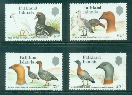 Falkland-Is-1988-Birds