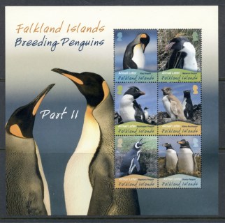 Falkland-Is-2010-Breeding-Penguins-MS-MUH