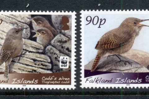 Falkland-Is-2009 WWF Cobbs Wren, bird