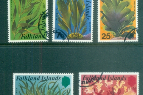 Falkland-Is-1979-Kelp-FU-lot77780