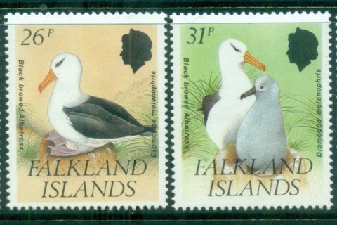 Falkland-Is-1990-Birds