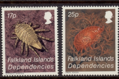 Falkland-Is-1991-marine life