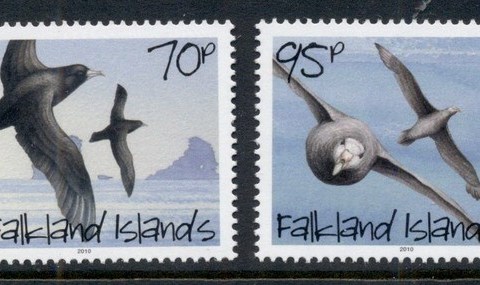 Falkland-Is-2010-Seabirds-MUH