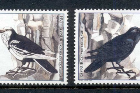 Faroe-Is-1995-Birds