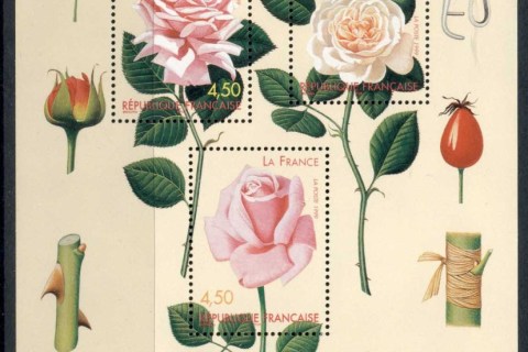 France-1999-World-Old-Roses-Competition-MS-MUH