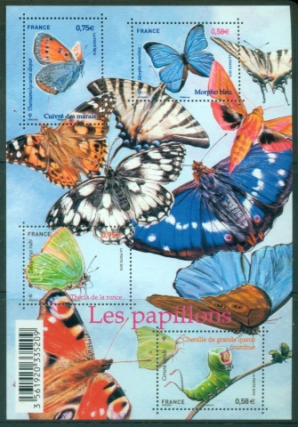 France-2010-Insects-Butterflies-MS-MUH