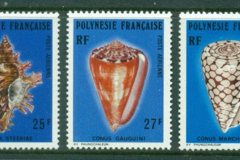 French-Polynesia-1977 Marine Life, Seashells