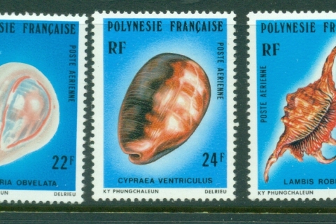 French-Polynesia-1978 Marine Life, Shells