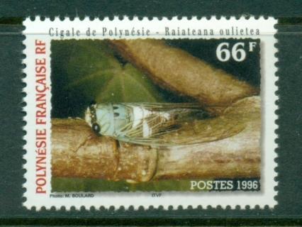 French-Polynesia-1996-Insects, Cicadas