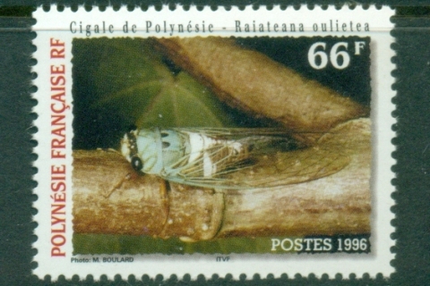 French-Polynesia-1996-Insects, Cicadas