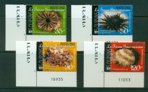 French-Polynesia-2002-Marine Life, Sea Urchins