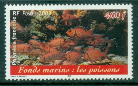 French-Polynesia-2003-Marine-Life-Fish-MUH