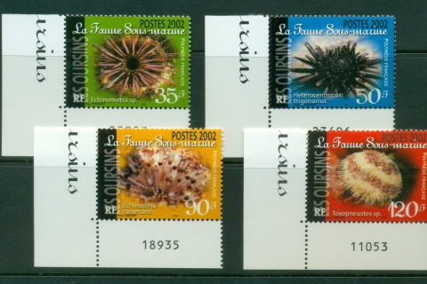 French-Polynesia-2002-Marine Life, Sea Urchins
