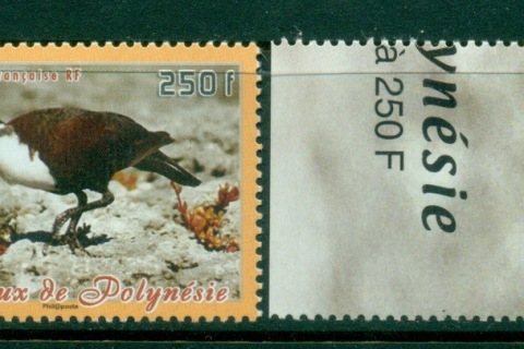 French-Polynesia-2006-Birds