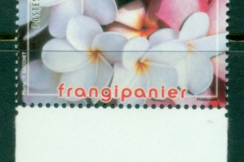French-Polynesia-2006-Flowers, Frangipani