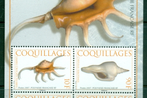 French-Polynesia-2007-Seashells MS