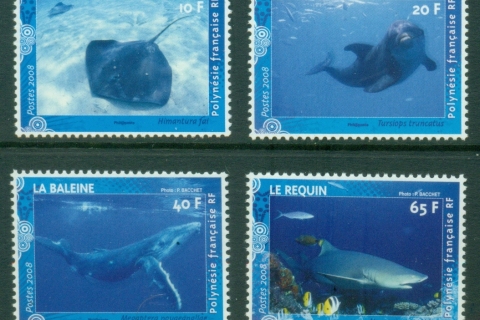French-Polynesia-2008-Marine Life, Sharks & Rays