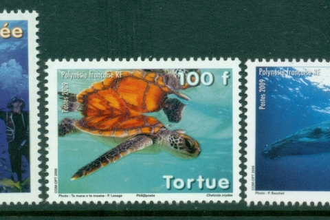 French-Polynesia-2009-Marine Life, Underwater Scenes