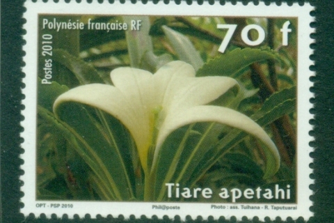 French-Polynesia-2010-Tiare Apetahi Flower