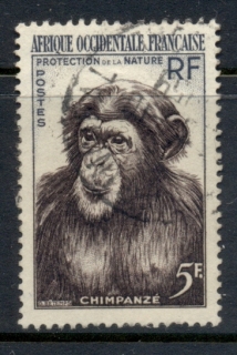 French West Africa 1955 Chimpanzee