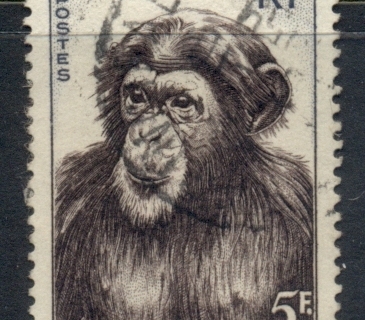 French West Africa 1955 Chimpanzee