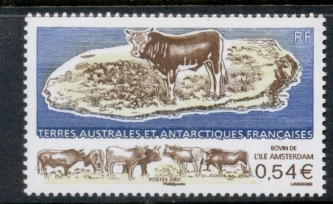 French-Antarctic-Territory-2007-Cattle