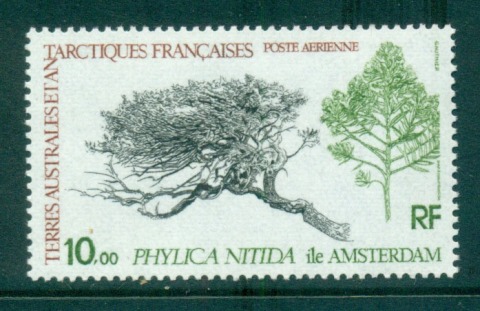 French-Antarctic-Territory-1979-Phylicia-Nitida