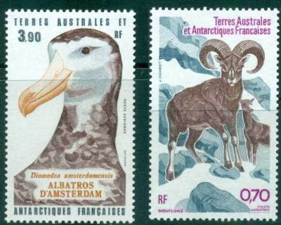 French-Antarctic-Territory-1985-Corsican-Sheep