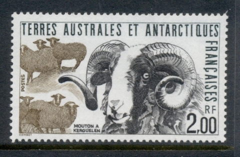 French-Antarctic-Territory-1989-Kergulen-Is-Sheep-MUH