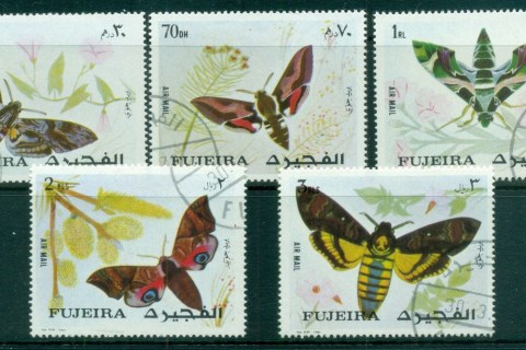Fujeira-1972-Insects