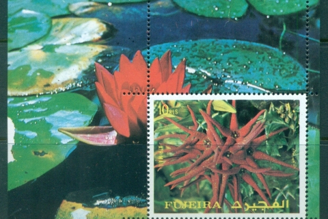 Fujeira-1972-MiMS135AA-Flowers-MS-MLH