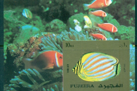 Fujeira-1972-MiMS141B-Marine-Life