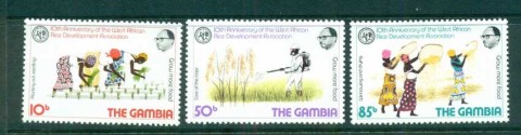 Gambia-1981-Rice-Devepolment-MUH-lot73121