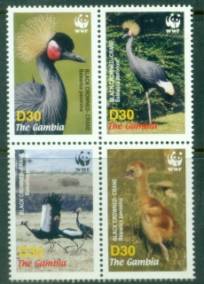 Gambia-2006-WWF-Birds-Crane-MUH_1