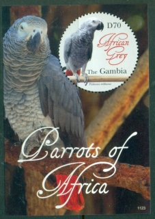 Gambia-2011-Birds-Parrots-of-Africa-MS-MUH_2