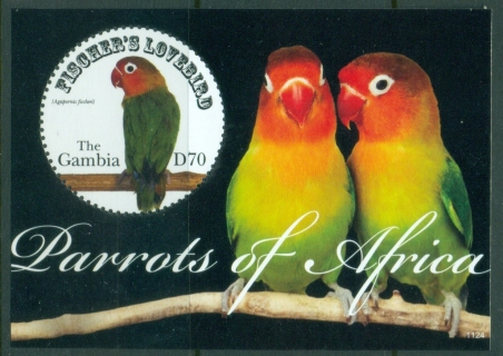Gambia-2011-Birds-Parrots-of-Africa-MS-MUH_3