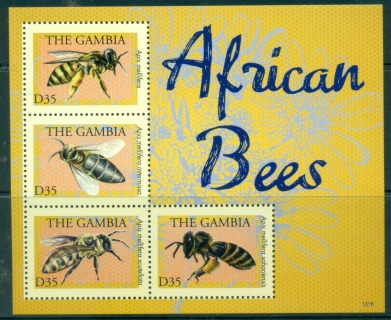 Gambia-2013-African-Bees-Insects-MS-MUH