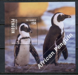 Gambia-2014-African-Penguins_1