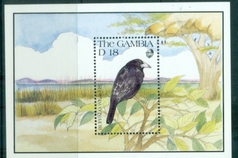 Gambia-1991-Birds
