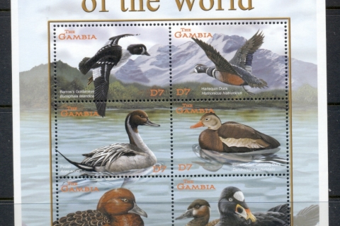 Gambia-2001-Birds