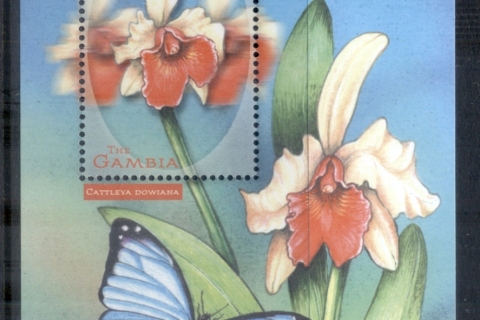 Gambia-2001-Flowers-2