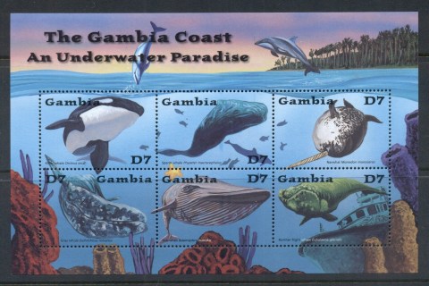 Gambia-2001-Marine-Life-4