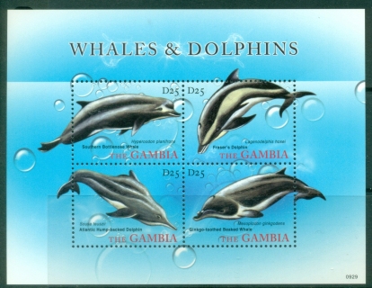 Gambia-2010-Marine-Life-Whales-Dolphins-MS-MUH_1